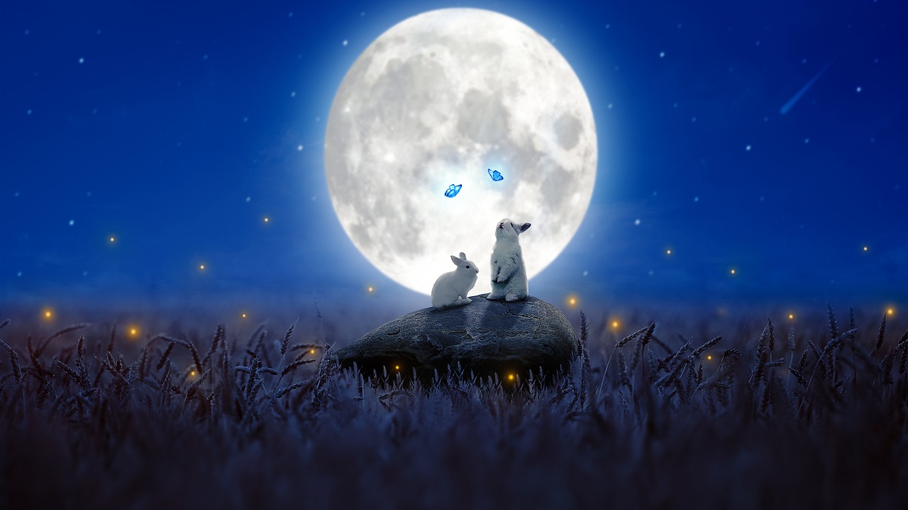 Rabbits under the moon